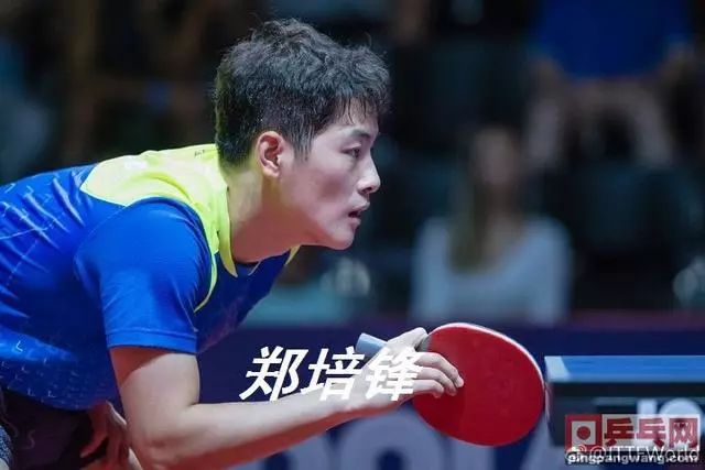 乒乓风云,国乒男单资格赛全员出局的深度剖析 乒乓风云,国乒男单资格赛全员出局的深度剖析